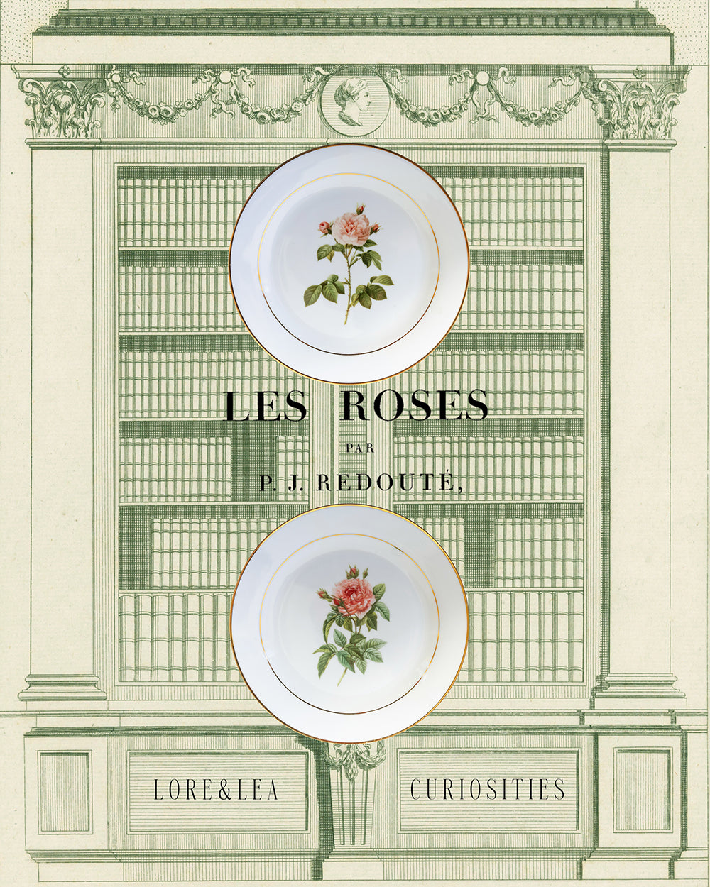 Botanical Porcelain Plate - Rosa Alba Regalis